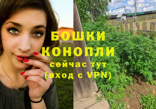 гидра Волоколамск