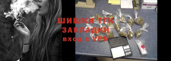 гидра Волоколамск