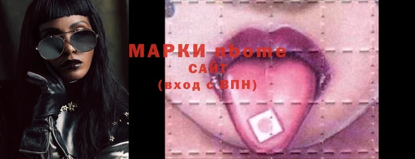 прущий лед Вяземский