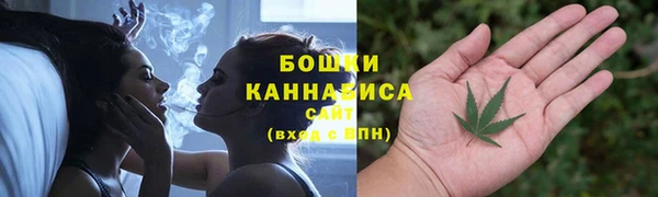 мдпв Володарск