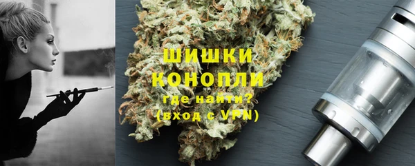 гидра Волоколамск
