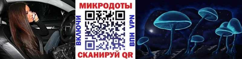 Псилоцибиновые грибы Psilocybe  продажа наркотиков  ОМГ ОМГ ссылки  Первомайск 